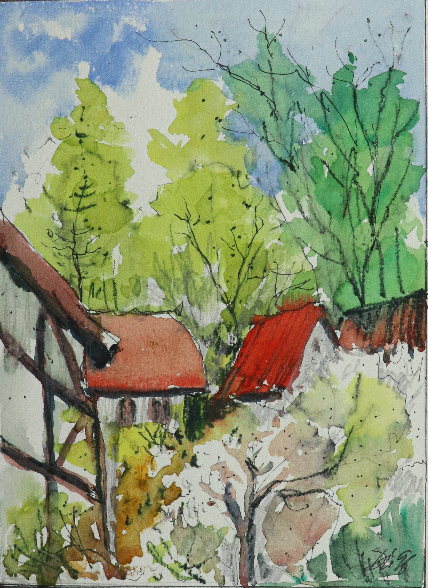 Garten im Frühling 1